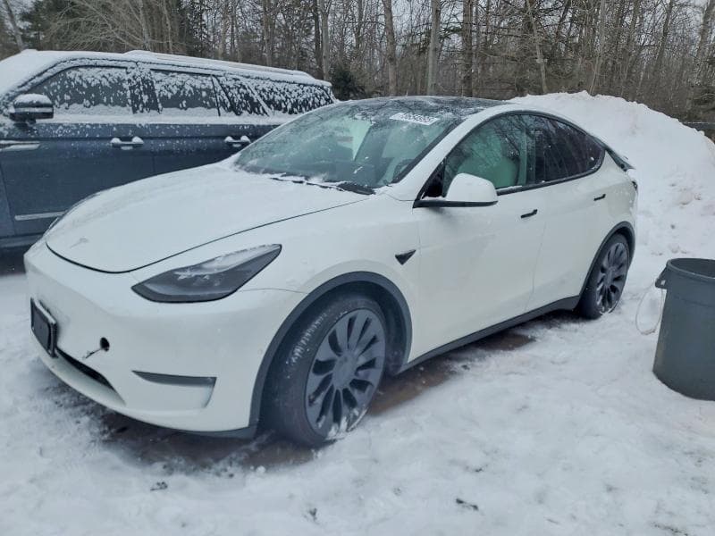 2022 Tesla Truck/Van Model Y 75D Performa