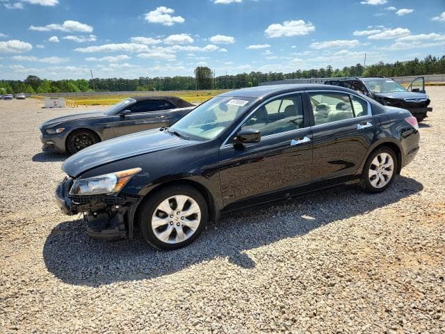 2010 Honda Accord EXL