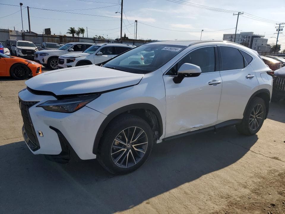 2024 Lexus NX 250 Base