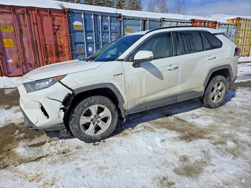 2019 Toyota RAV4 LE