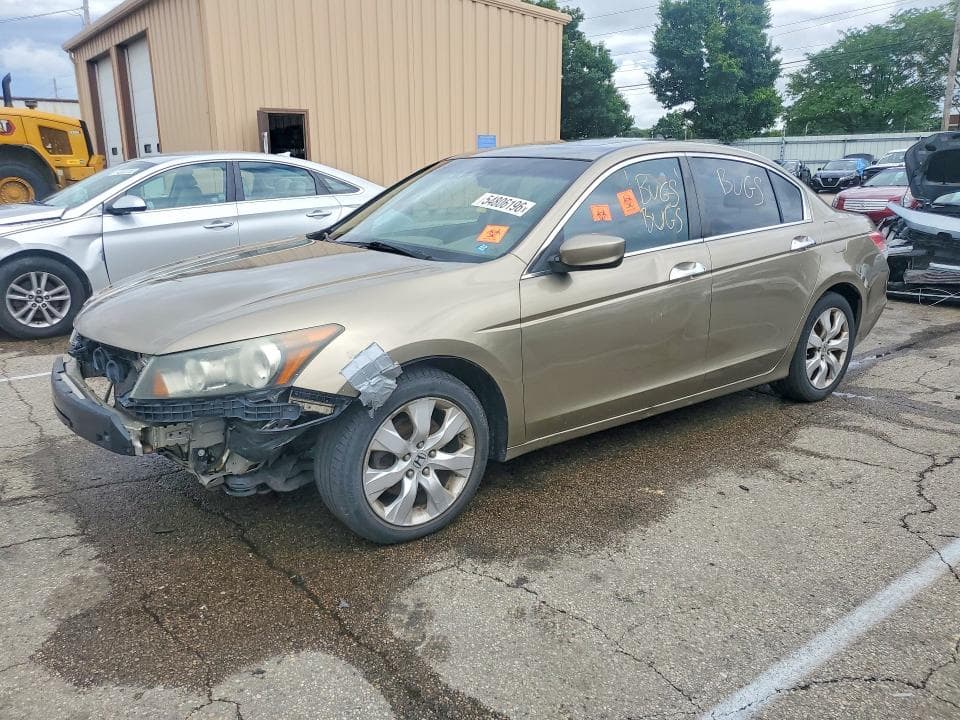 2010 Honda Accord EXL