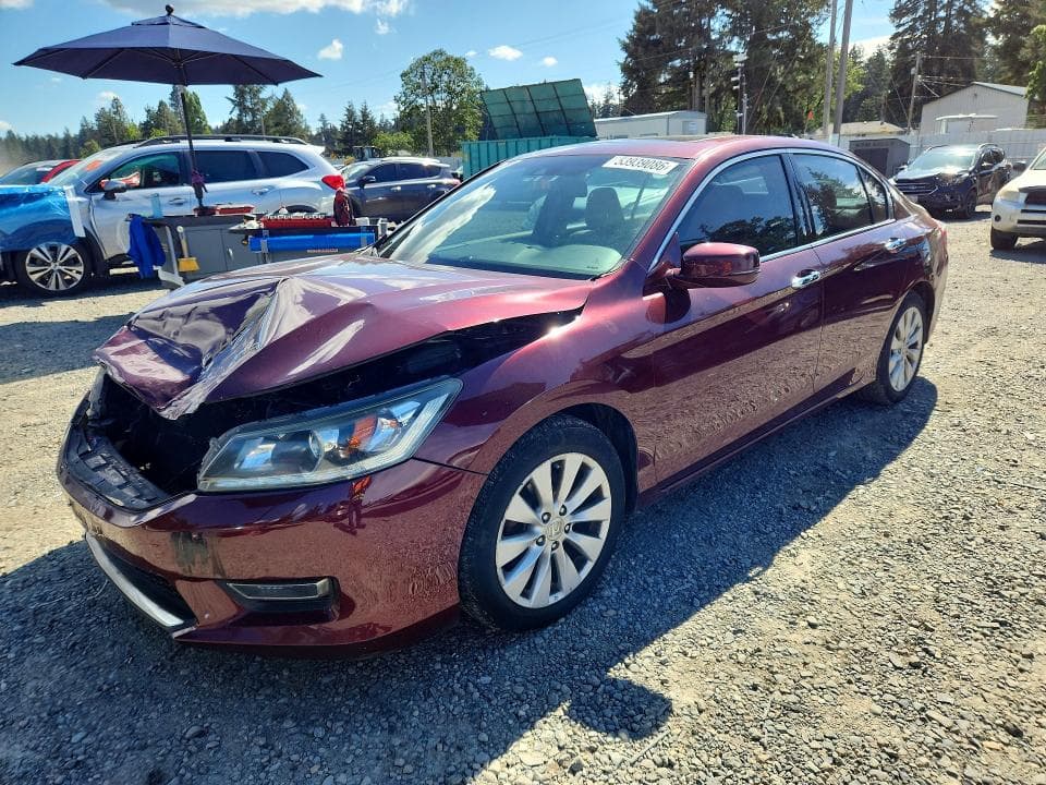 2013 Honda Accord EXL