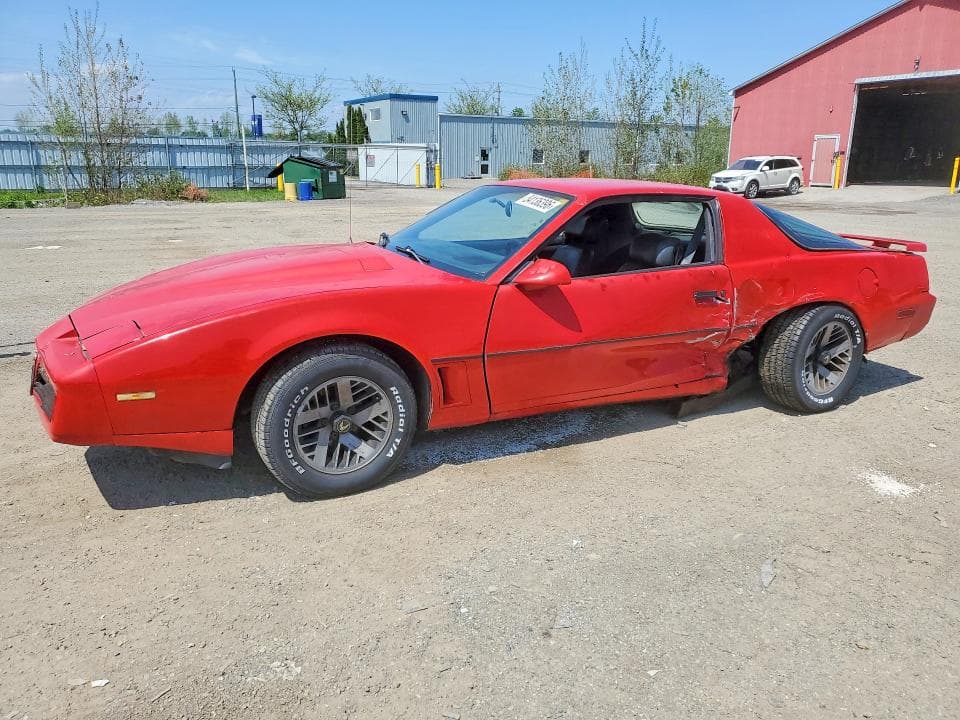 1984 Pontiac Firebird Trans AM