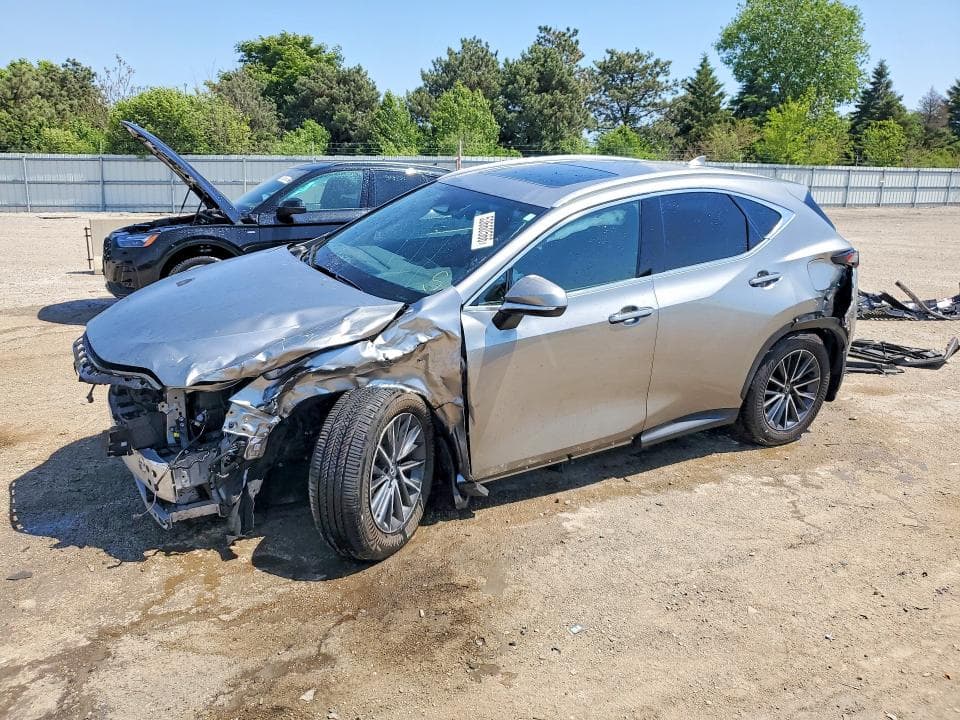 2025 Lexus NX 350 Base