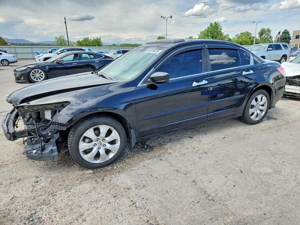 2009 Honda Accord EXL