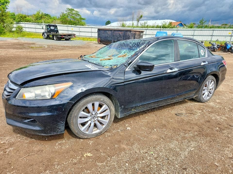 2011 Honda Accord EXL