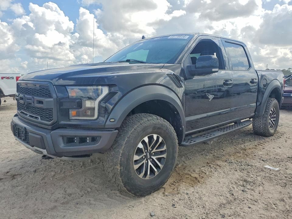 2019 Ford F150 Raptor