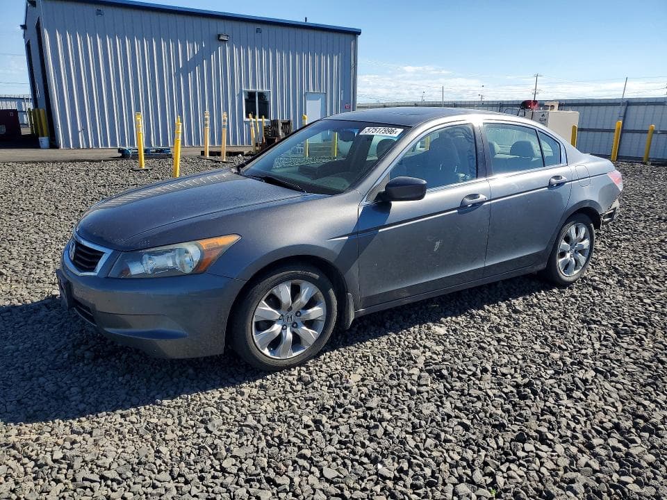 2010 Honda Accord EXL