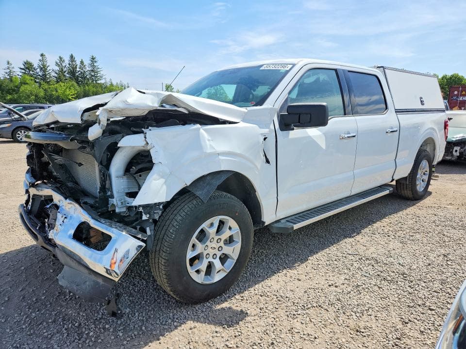 2025 Ford F150 XLT