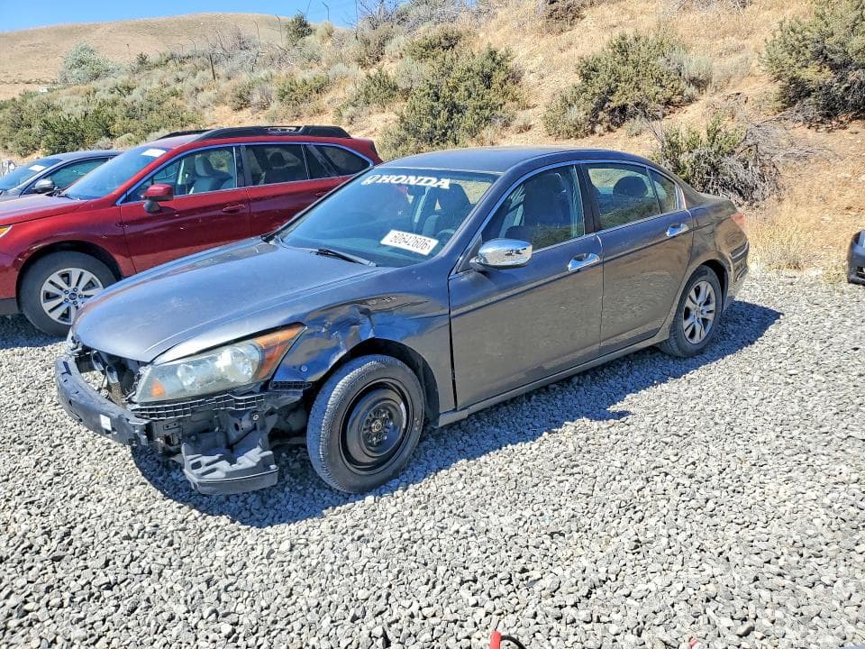 2010 Honda Accord