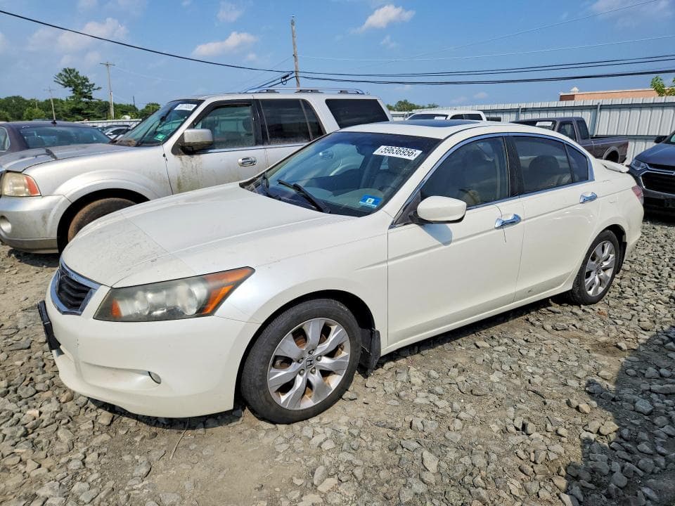 2010 Honda Accord EXL