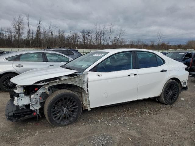 2019 Toyota Camry L