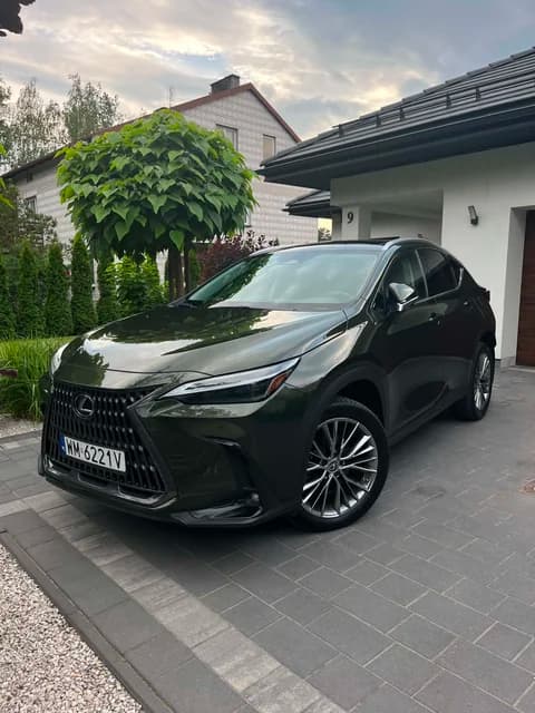 Lexus NX — Vehicle purchased at auction