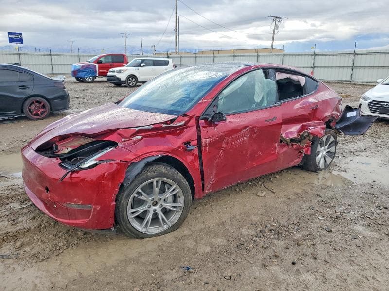 2024 Tesla Model Y