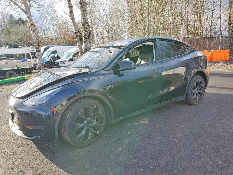 2025 Tesla Model Y