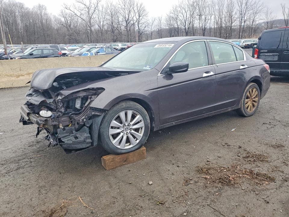 2011 Honda Accord EXL