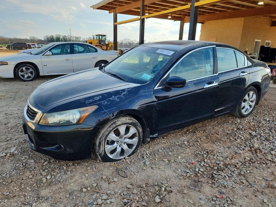 2008 Honda Accord EXL
