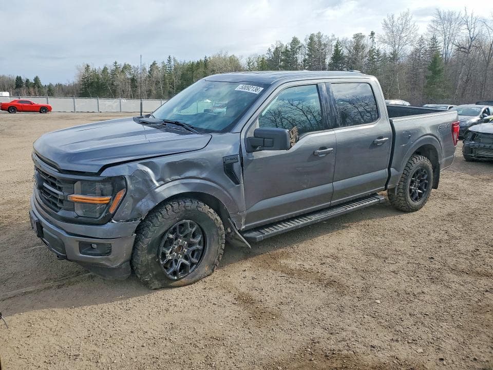 2025 Ford F150 XLT