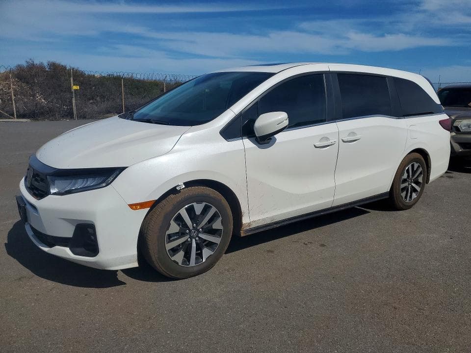 2025 Honda Odyssey EXL