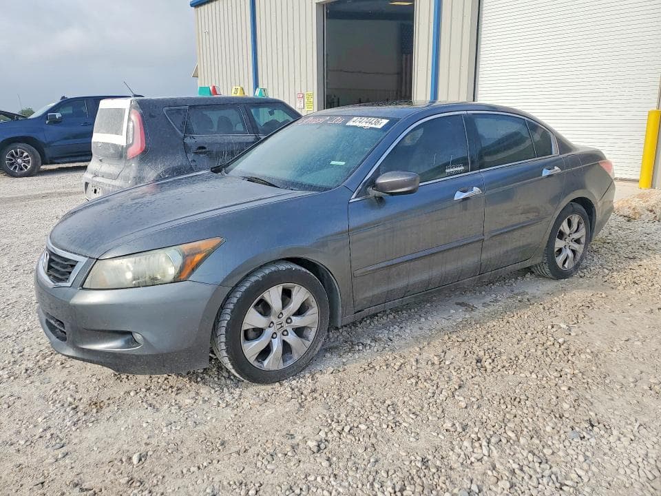 2010 Honda Accord EXL