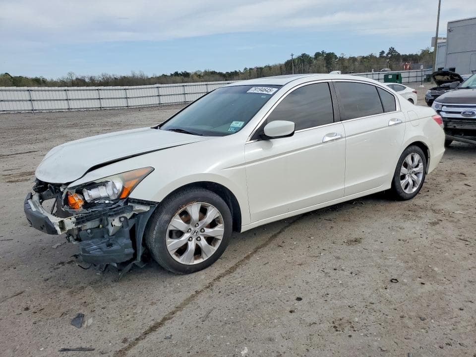2010 Honda Accord EXL