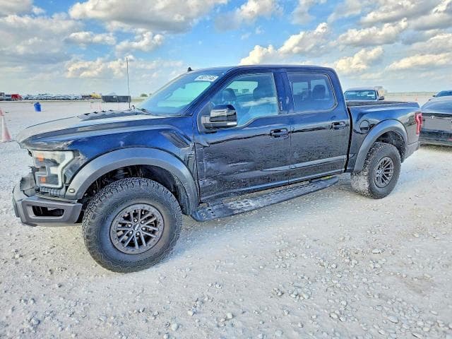 2019 Ford F150 Raptor