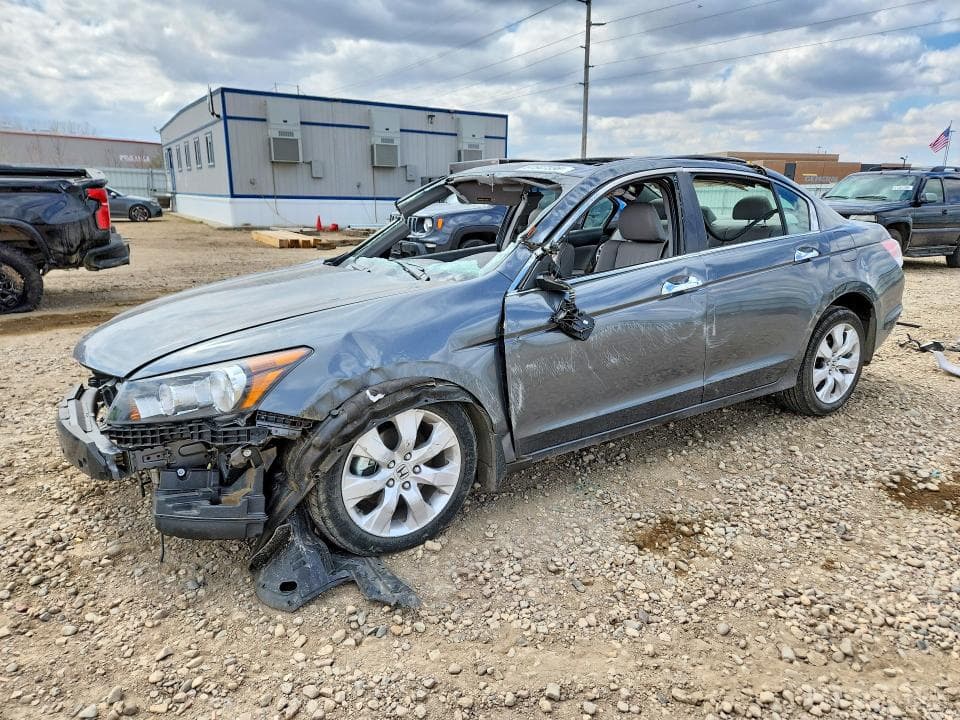 2010 Honda Accord EXL