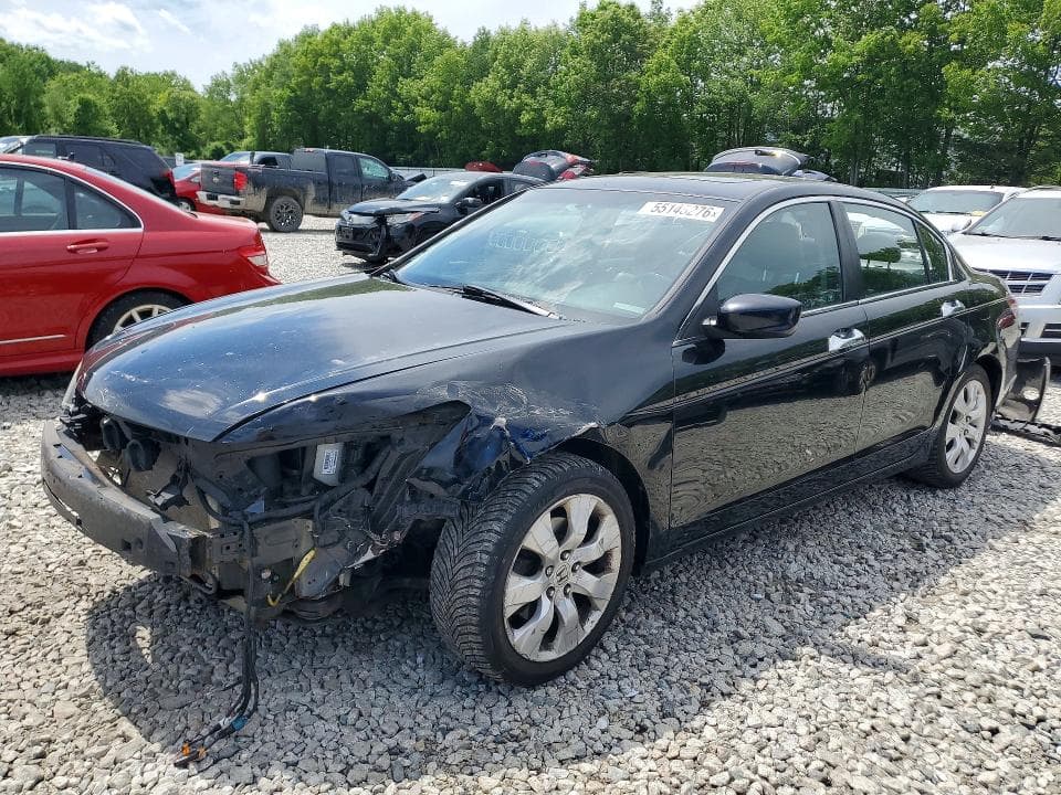 2010 Honda Accord EXL