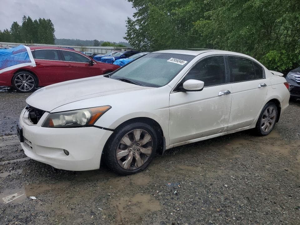2008 Honda Accord EXL