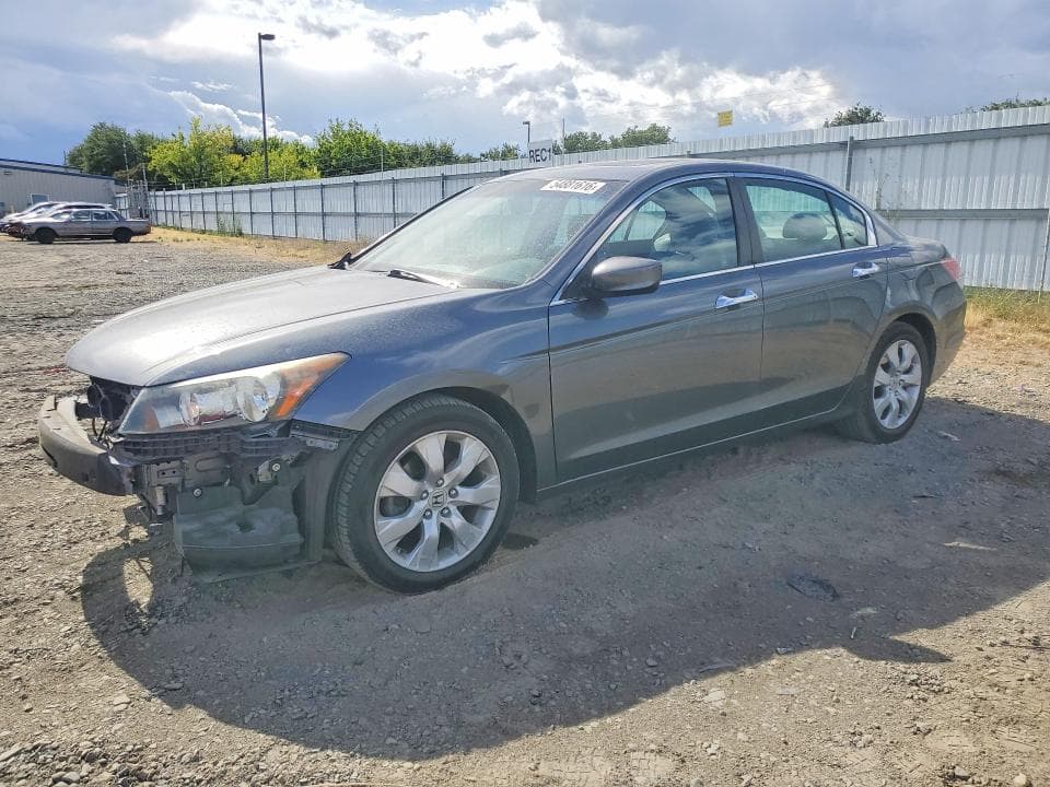 2010 Honda Accord EXL