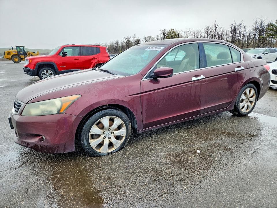 2010 Honda Accord EXL