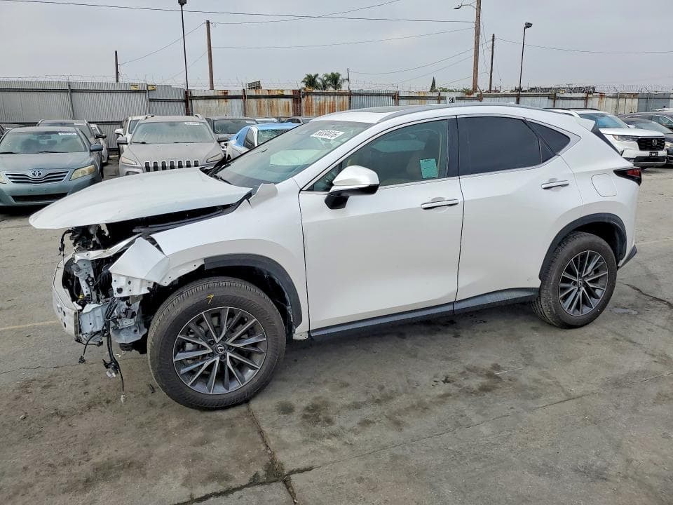2025 Lexus NX 250 Base