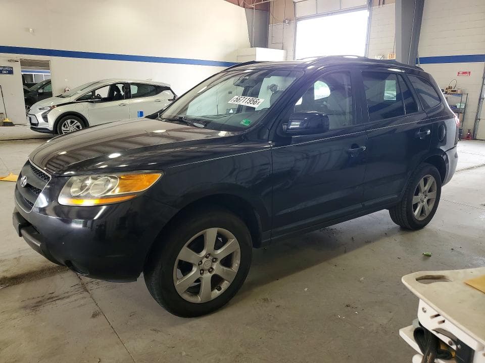 2009 Hyundai Santa FE SE