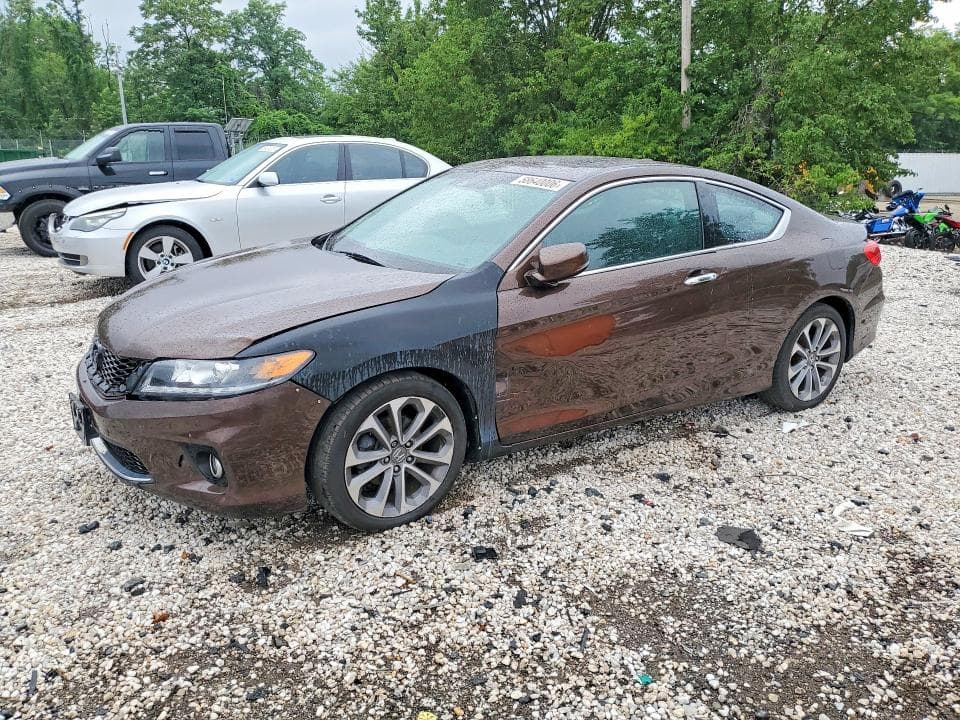 2013 Honda Accord EXL