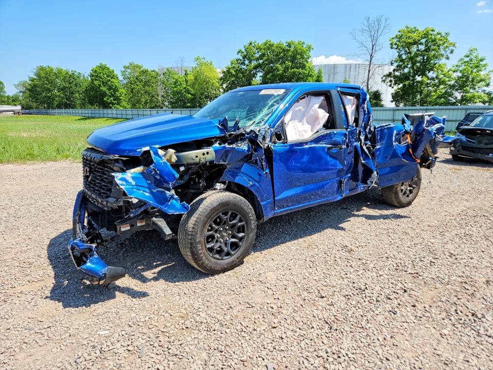2025 Ford F150 STX