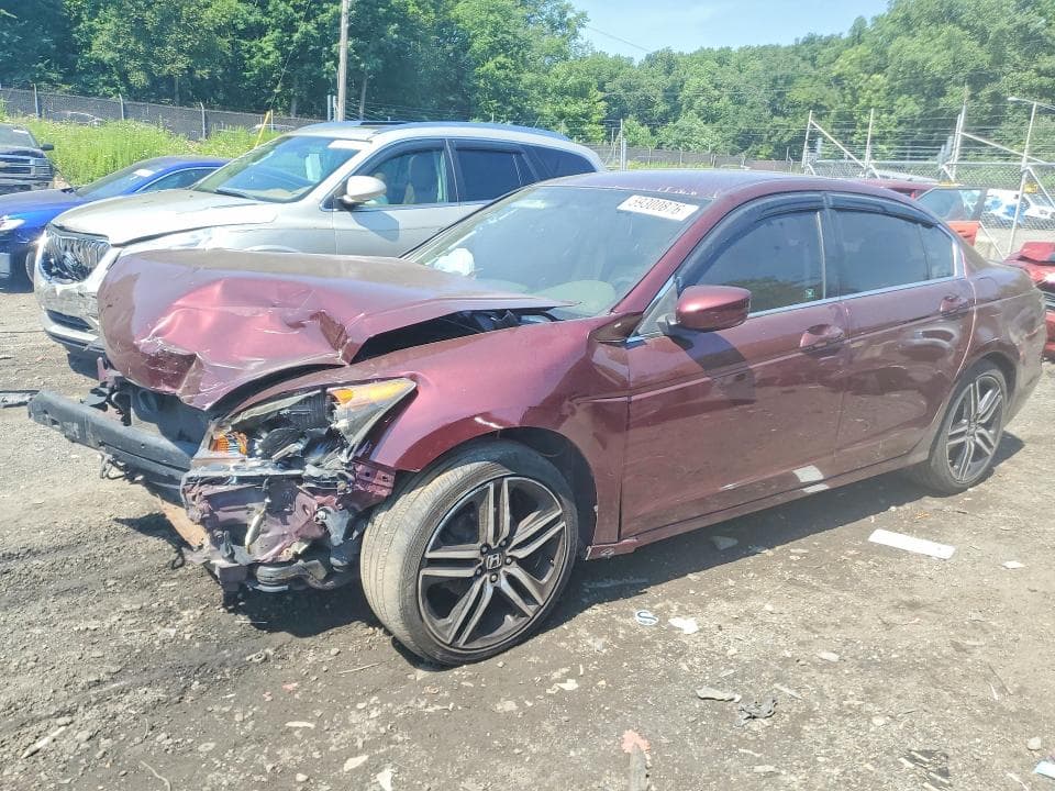 2010 Honda Accord LXP