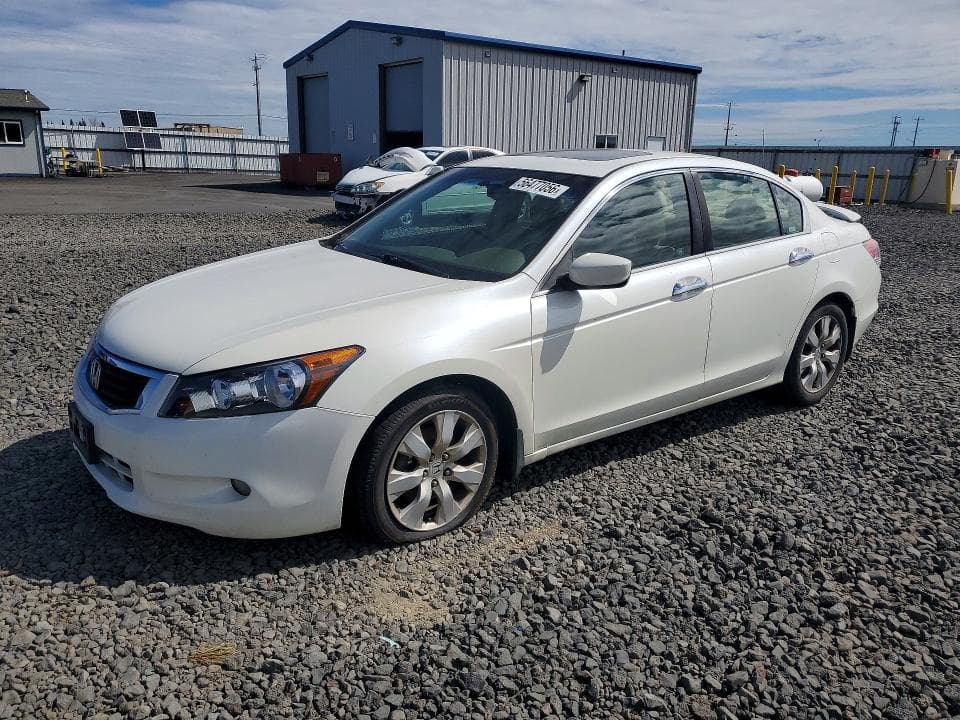 2008 Honda Accord EXL