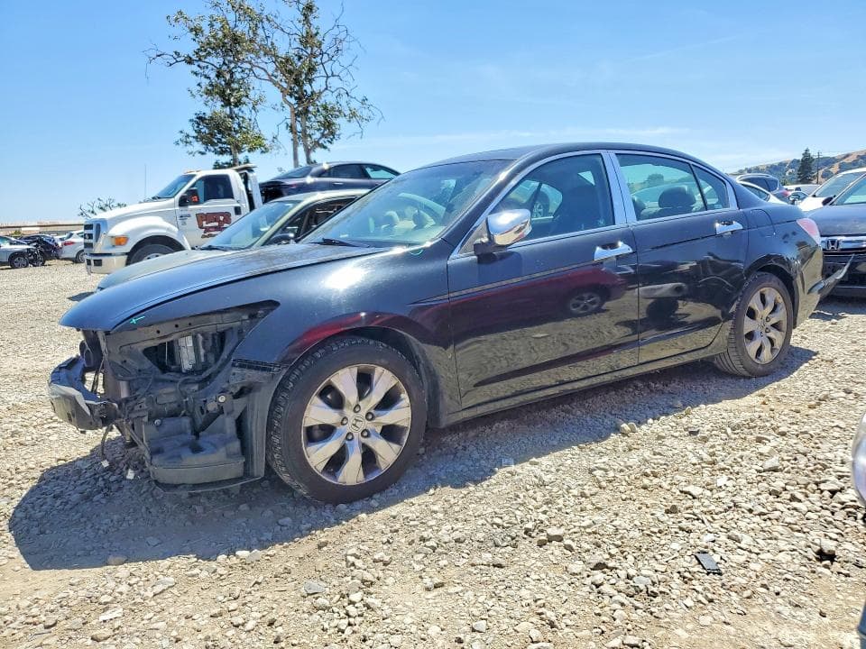 2010 Honda Accord EXL