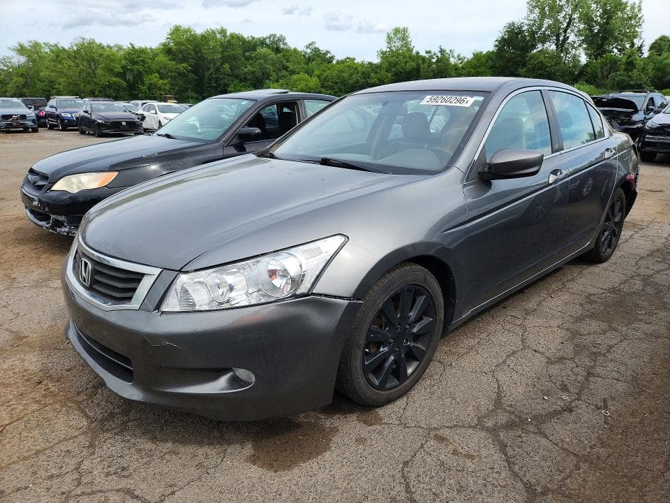 2010 Honda Accord LXP