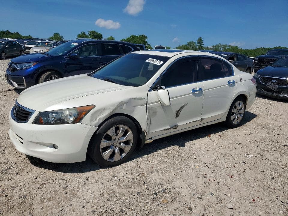 2010 Honda Accord EXL