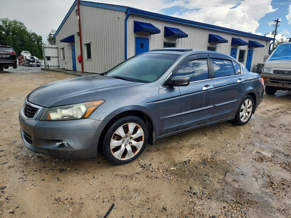 2010 Honda Accord EXL